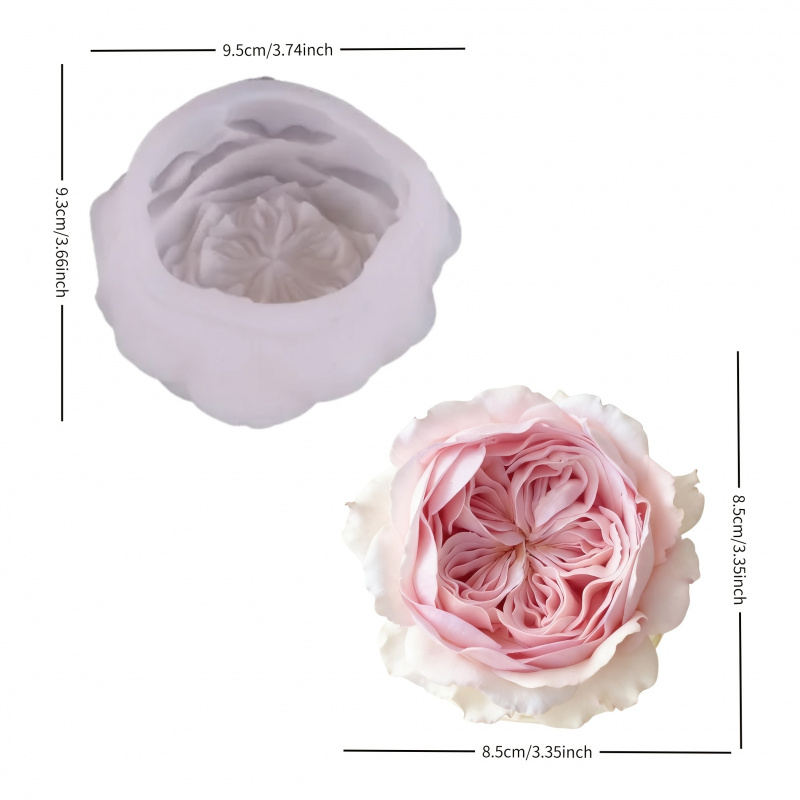 An Austin rose shape mold，Suit - Candle Making Austin บทวิจารณ์และราคา